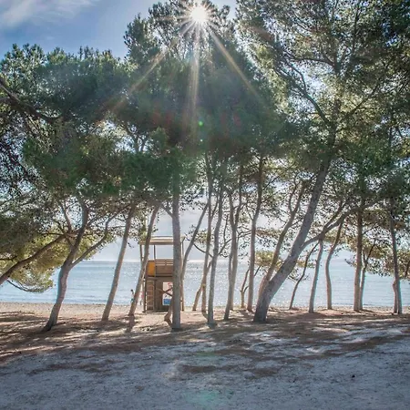 Beach Inn Apartment Apartamento